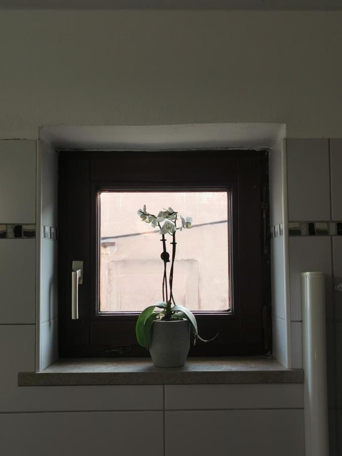 Istrian Old Town Apartment Koper Dış mekan fotoğraf